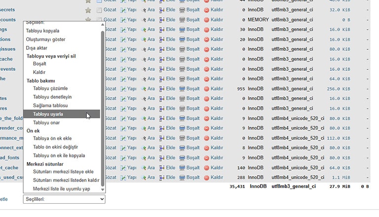 Veritabanı Optimizasyonu